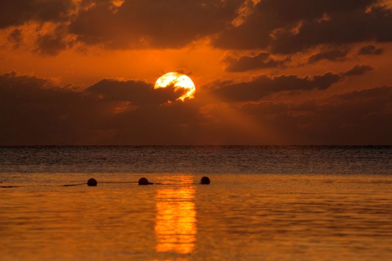 sunset164A8474-copy.jpg