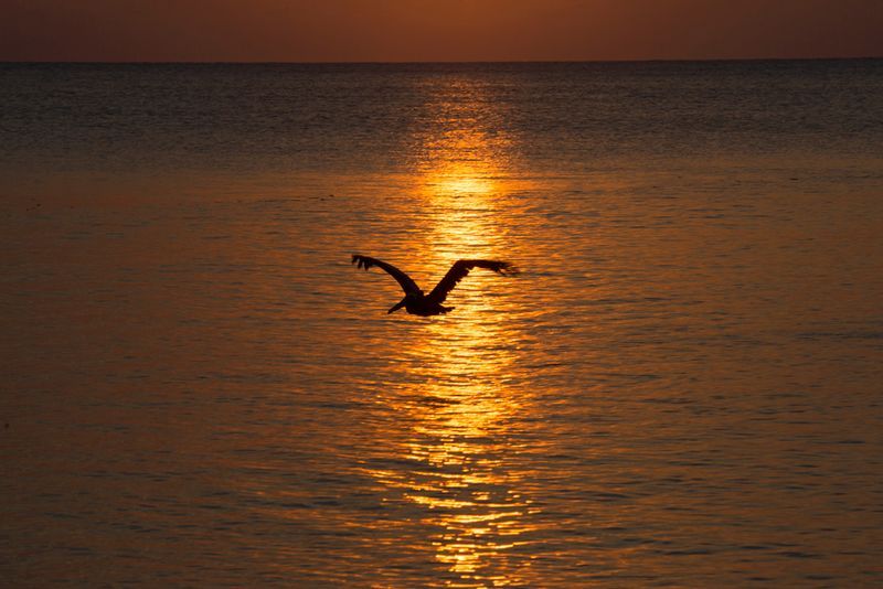 sunset164A8519-copy.jpg