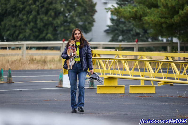 20251101-0009JMK(1).jpg :: Nov01, 2025: SCCA Trunk or Treat - Cincinnati Region at Traders World, Lebanon, Ohio