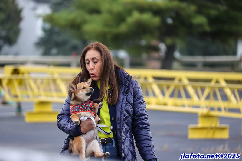 20251101-0012JMK.jpg :: Nov01, 2025: SCCA Trunk or Treat - Cincinnati Region at Traders World, Lebanon, Ohio