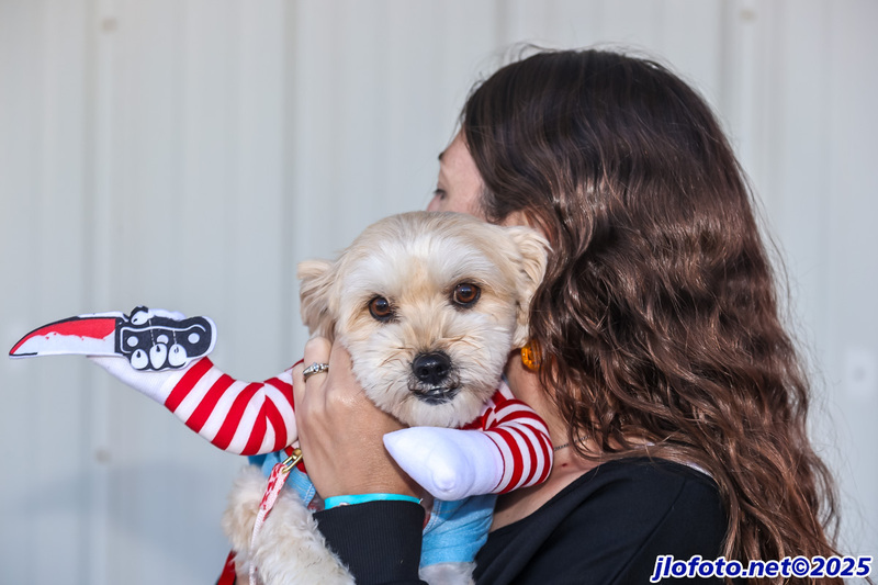 20251101-0288JMK(1).jpg :: Nov01, 2025: SCCA Trunk or Treat - Cincinnati Region at Traders World, Lebanon, Ohio