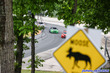 20260605-0384JMK.jpg