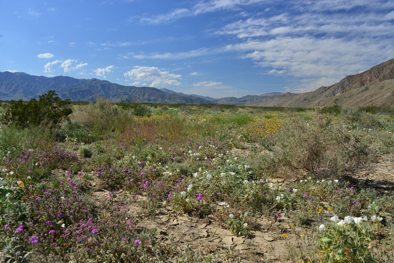 DSC_5111.jpg