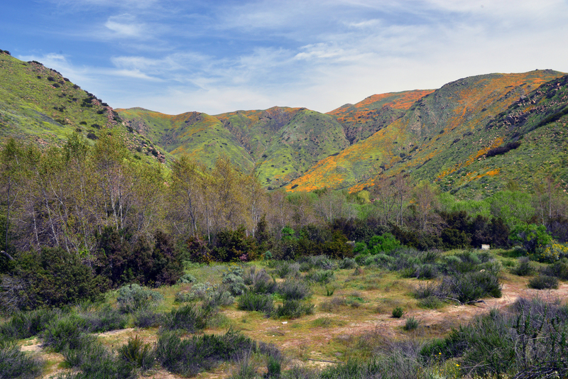 DSC_5664.jpg