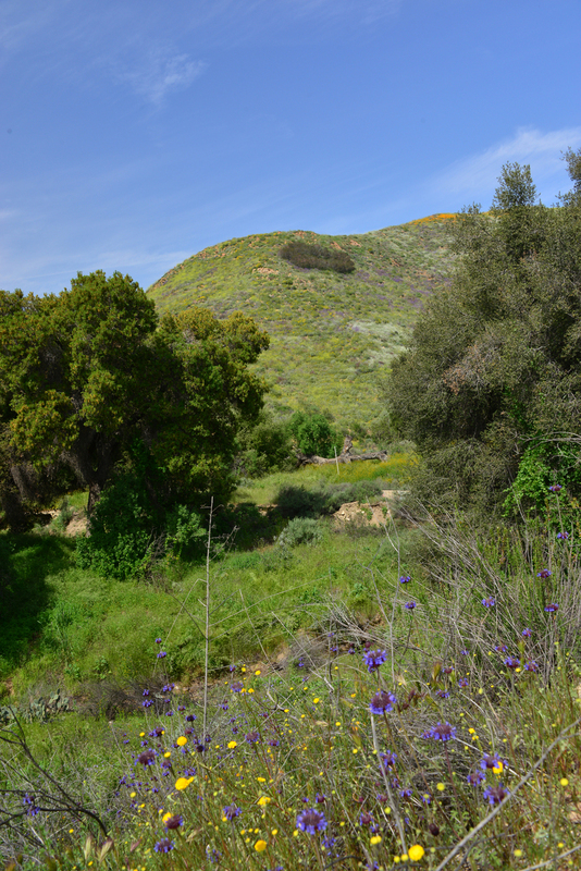 DSC_5704.jpg