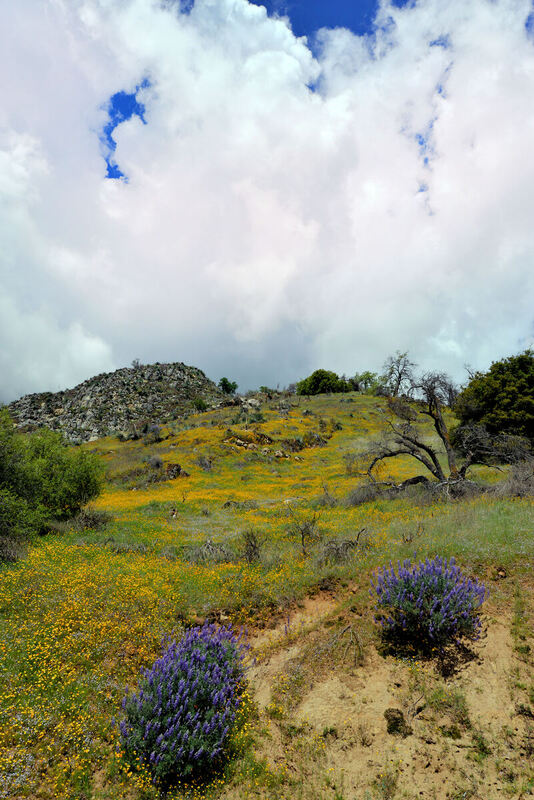 DSC_5989(1).jpg