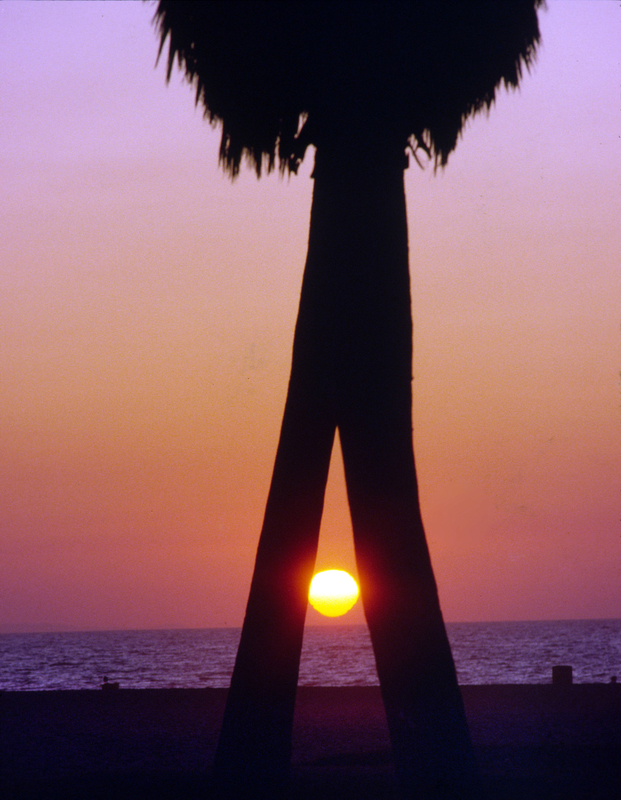 Sun walk.jpg