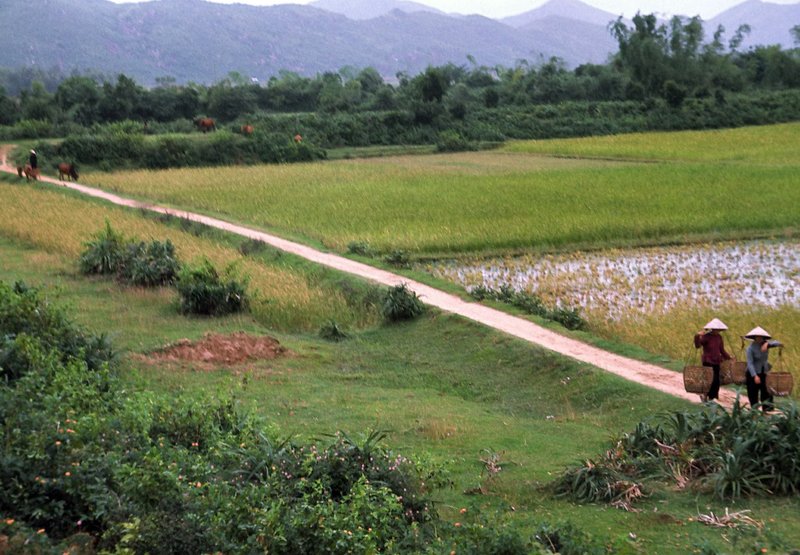 Vietnam 93.jpg