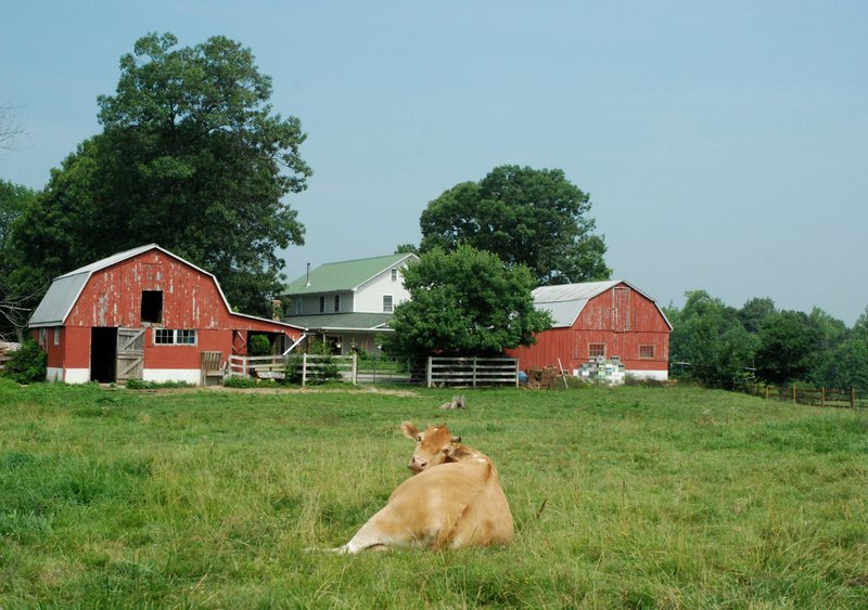 Maryland farm life.jpg