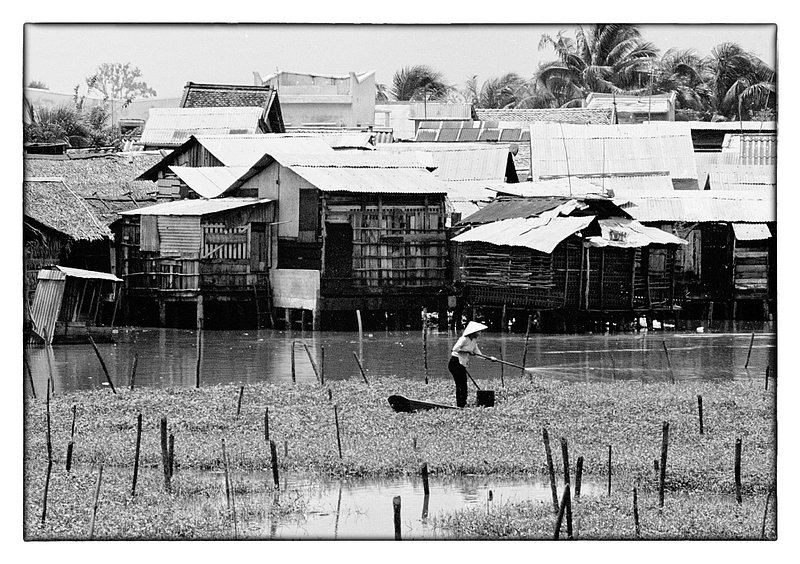 Agriculture.jpg :: Vietnamese woman tending to water agriculture.