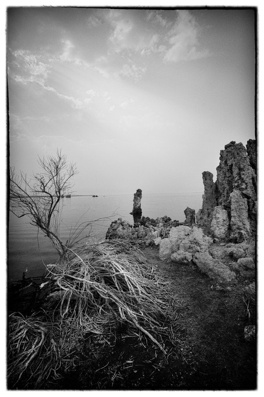 Branches and Smoke.jpg :: At heart I have always been in love with the black and white medium. For me stripping away the camouflage of color allows me to make a more powerful visual statement.