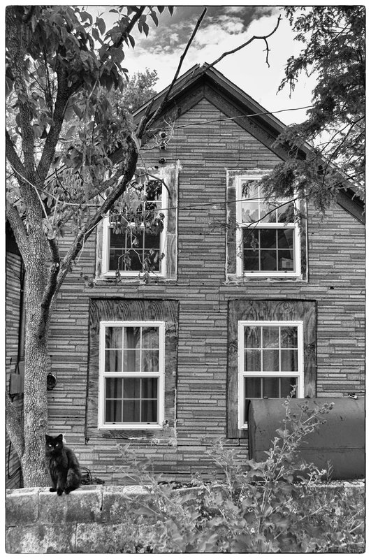 Cat and house.jpg :: Near the Roanoke River Valley in the rolling hills of Southern Virginia a photographer will find  opportunities to the present as well as the past at the same time. Generation after generation have lived, worked and passed on to their children their legacies some going back to the beginning of our country. this house owner had recently replaced windows of this 19th century home..