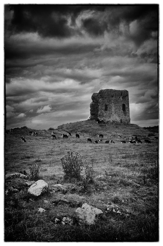 Countryside.jpg :: The past mixes casually with the present throughout Ireland as seen by cattle grazing close to the remnants of  an ancient castle.