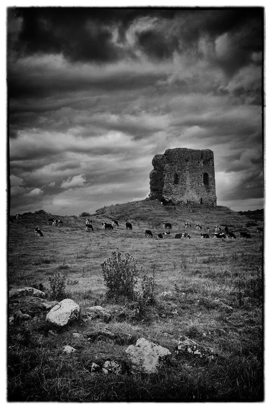 Countryside.jpg :: The past mixes casually with the present throughout Ireland as seen by cattle grazing close to the remnants of  an ancient castle.