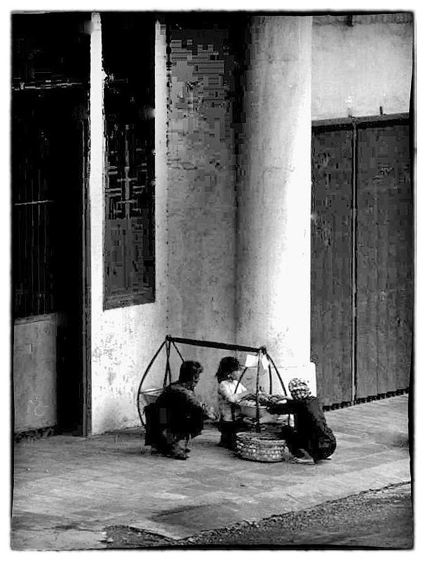 Early Morning.jpg :: I captured this image early one morning other than being an interesting composition, I have no idea what the plan of the day was. 