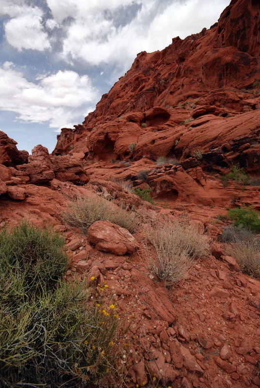 Flowing Sandstone.jpg :: This scene appears to be flowing like a river.