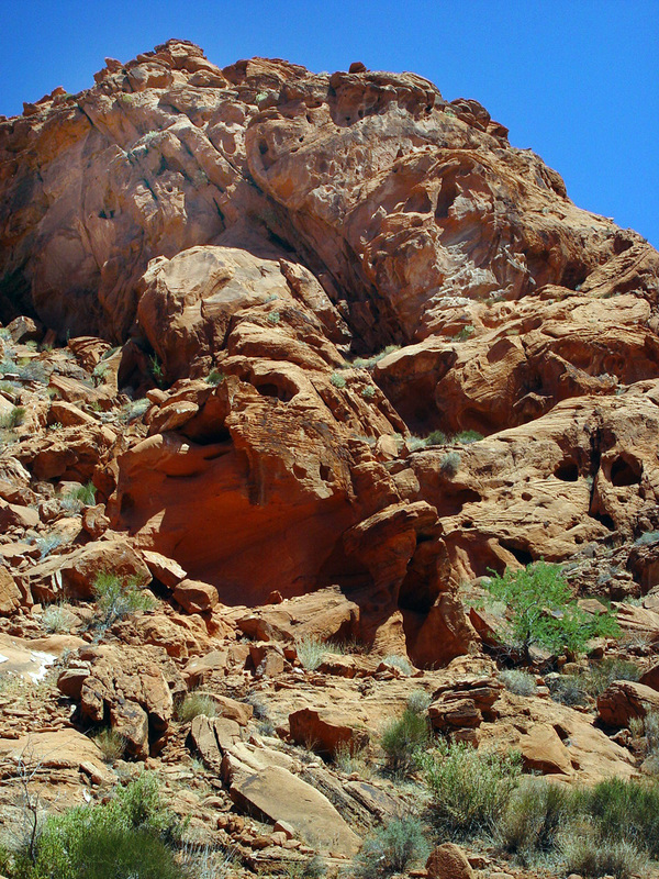 Mini Mountains of sandstone.jpg :: Mini mountains of sandstone figures  and vegetation are scattered throughout the park. 