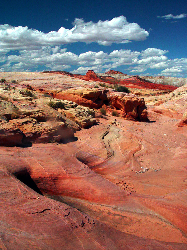 Multicolored blanket.jpg ::  The multi colored sandstone spreads like a giant blanket over some areas of the park providing an ever changing perspective.