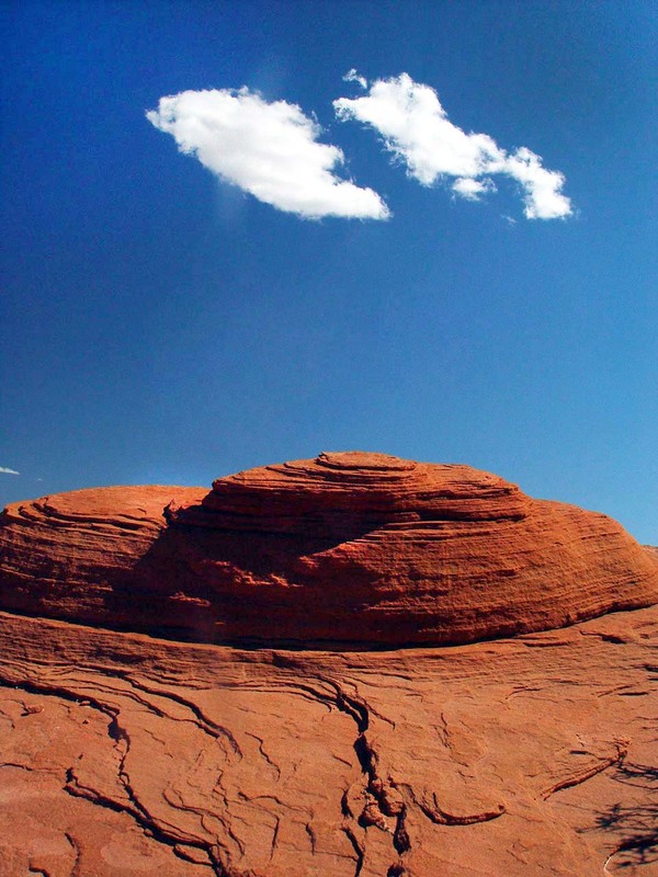 Natures Artistry.jpg :: Intriguing forms and shapes excite the inner being with wonderment of Mother Natures creations.