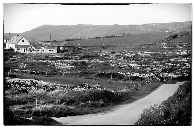 Northern Wales farmhouse.jpg ::  This Welsh  sheep farm located in the low hills of Anglesey Island is close to the largest town on the Island, Holyhead, Wales. The town of Holyhead is a major seaport located on Caemafon Bay ajoining the Irish Sea. It provides ferry service to Ireland. 