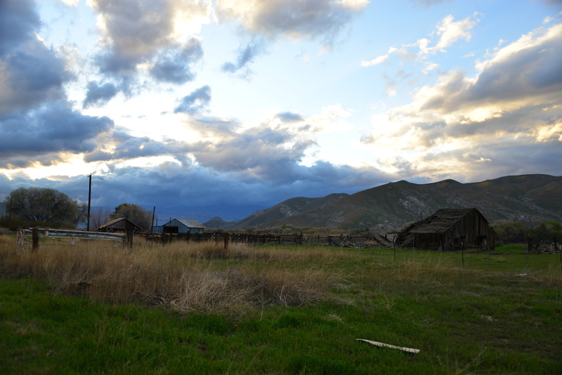 Ranch.jpg :: Discovered this Ranch nestled on the edge of the Sierra Nevada not to far from Bishop. Walking with my wife we inhaled the silence and peacefulness of what living the life of a Rancher is in the West is.