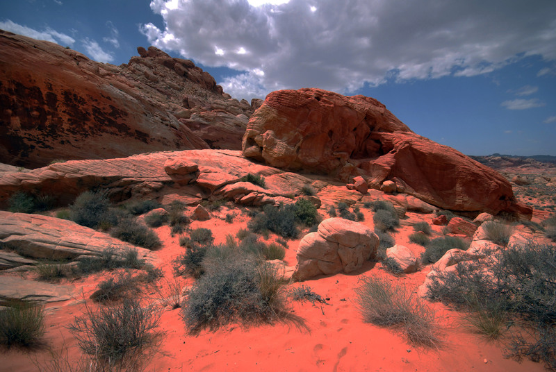 Sandstone Garden.jpg :: Desert plants blend harmoniously with the Sandstone formations completing another piece of environmental art by Mother Nature.