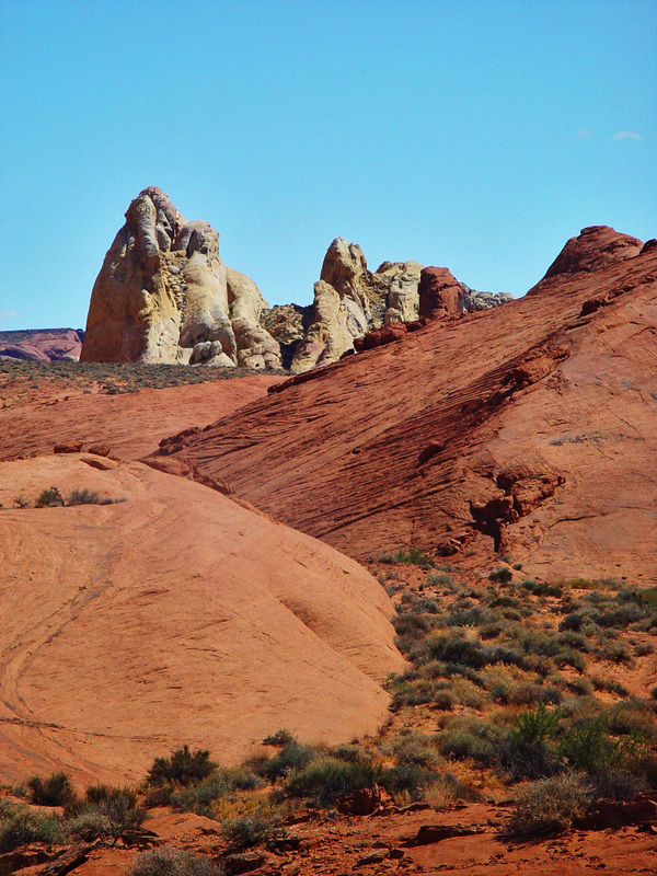 Sandstone Stalactites.jpg :: Vegetation somehow finds its way to the desert surface in the hot Desert floor.