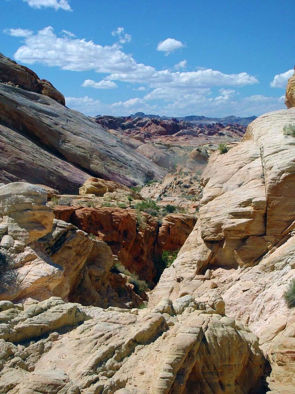 Sandstone quagmire.jpg :: Aera's of the park are hard to navigate  but the rewards they hide or protect reveal enchanting forms, colors and abstract artistry.