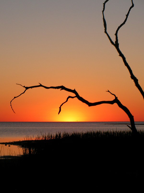 Shired Beach  FL.jpg :: Shired Beach,  thirty miles from Cedar Key, along Florida's Gulf Coast, is part of the Lower Suwannee National Wildlife Refuge. 