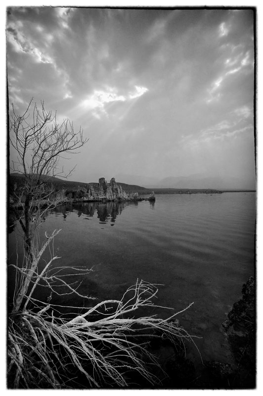 Smokey BW.jpg :: Wandering around I chose certain scenes to be posted in black and white. For technical reasons I always create the B&W images in post from the color originals. My advice to all is to learn how to see in B&W,  study values.  Images can make dynamic and powerful statements in black and white. 