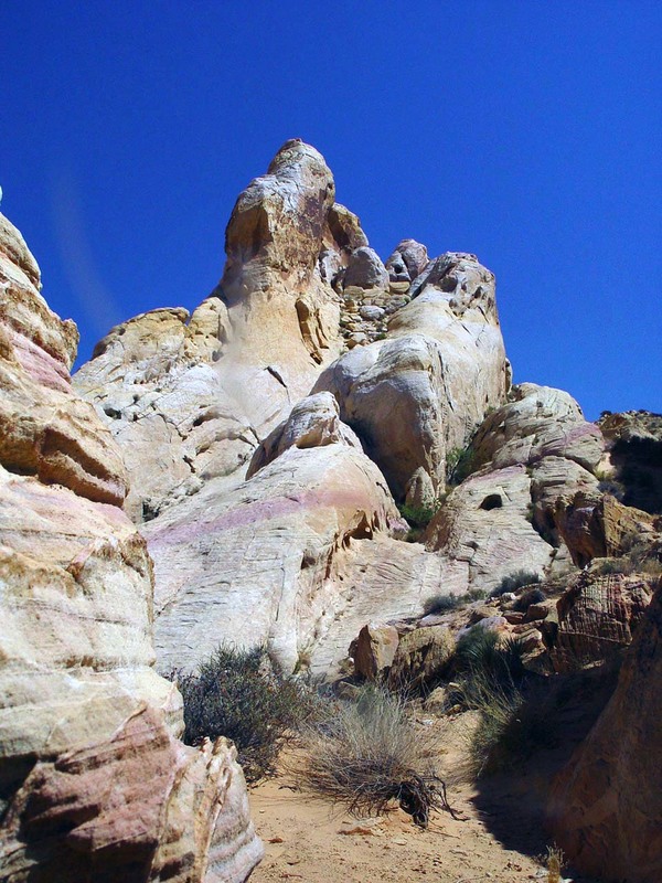 Sun bleached Sandstone.jpg :: Sun bleached sandstone with desert growth guarding entry to another world.