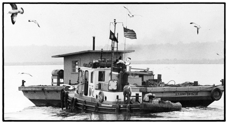 The Armys Navy.jpg :: Monterey Bay, California