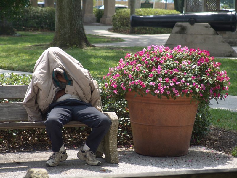 The Bench.jpg ::  The Bench serves him as a place to rest, to sleep, to store his worldly posessions and to inhale the smell of the potted plant.                            
