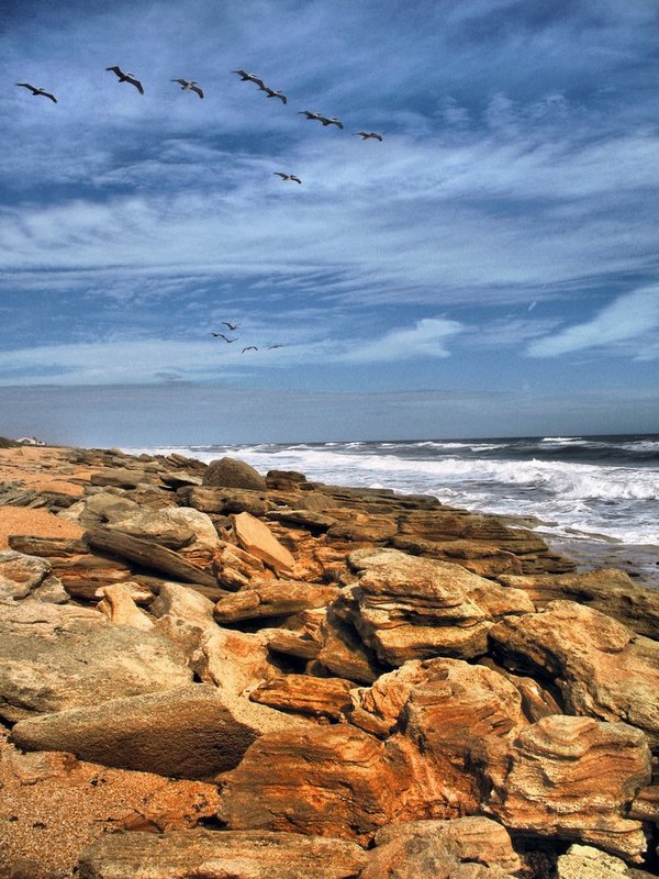 The Flock.jpg :: Flocks of birds navigate the sky close to the shore in search of their morning meal.