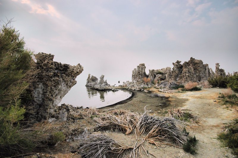 The Menage.jpg :: Unable to get a boat to explore from the lake due to the fire, I Wandered the shoreline instead each step  brought ever-changing photo opportunities in what I deemed a menage of limestone, vegetation, smells all effecting ones senses.