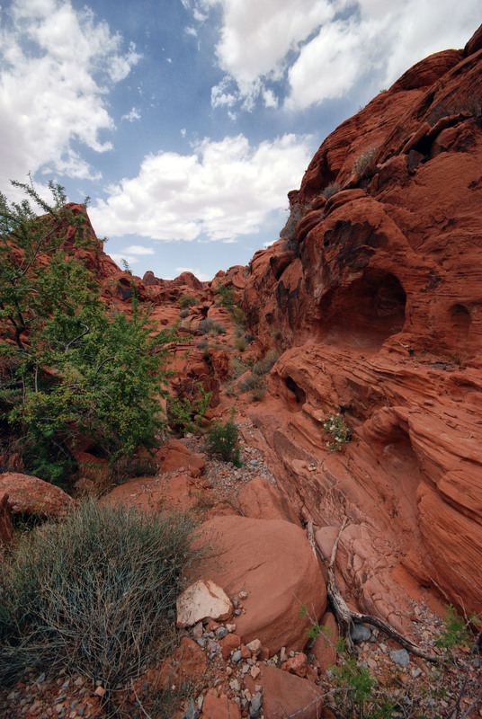 The Pathway.jpg :: This Sandstone and rocky pathway invites one to climb and explore as you climb, you will soon realize, the scene is made up of thousands of scenes. 