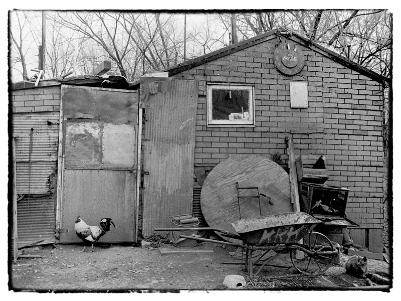 The Weelbarrow.jpg :: Squirrel, tell me about the wheelbarrow outside with the letters \