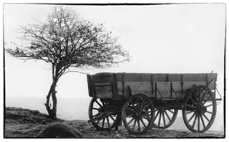 The empty wagon.jpg :: Sometimes you stumble upon a relic of the past. This high noon scene caused me too pause and wonder about yesteryear, the wagon's purpose and the people who owned it. Now empty of cargo, people and the past  and left as a relic of the past to remind us of yesterday.