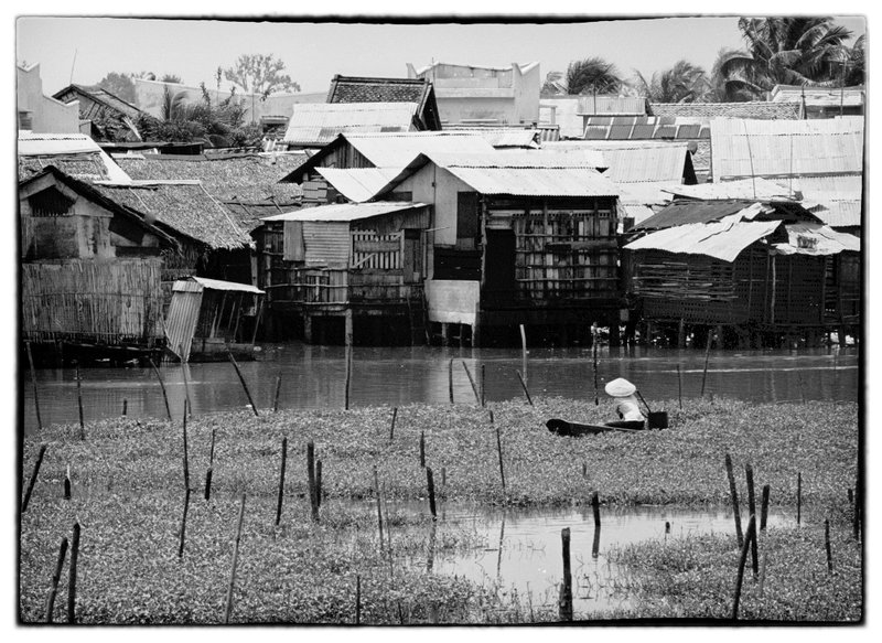 Water Scene.jpg :: A number of times i noticed what i thought was harvesting of water plants along the Saigon river. never found out what the product was. Might also be an invasive plant.