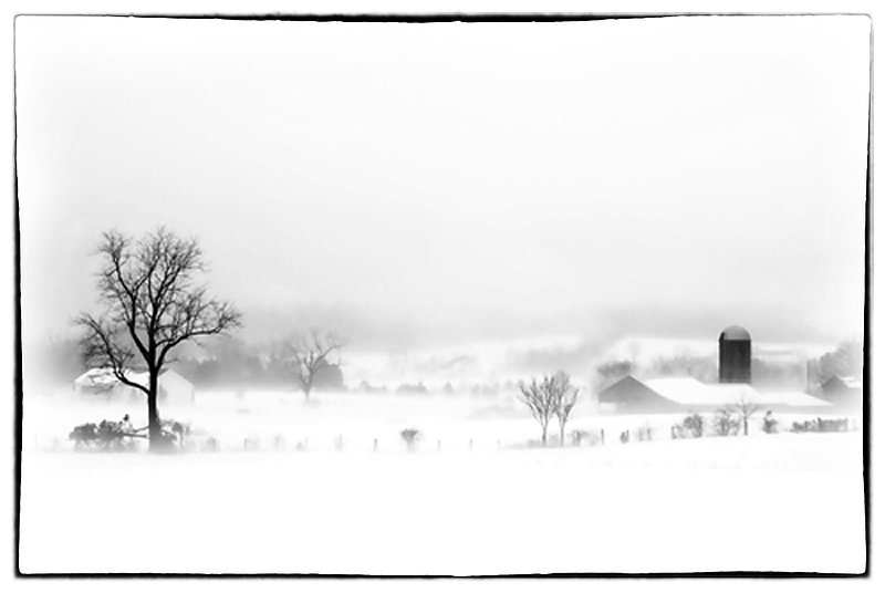 Winter Blanket.jpg :: Winter wonderland in the Shenandoah Valley. Early morning just outside of Front Royal, VA. after a storm. Something about the  quitness and beauty in a blanket of snows it the peacefulness that  touches ones soul from time to time.