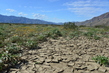 Anza Borrego Desert.jpg