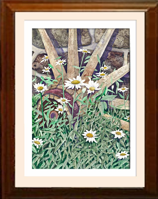 Wall Flower.jpg :: A change from John's ever popular winter scene, Shasta Daisies bring a Conestoga wheel back to life in this beautiful spring close up.