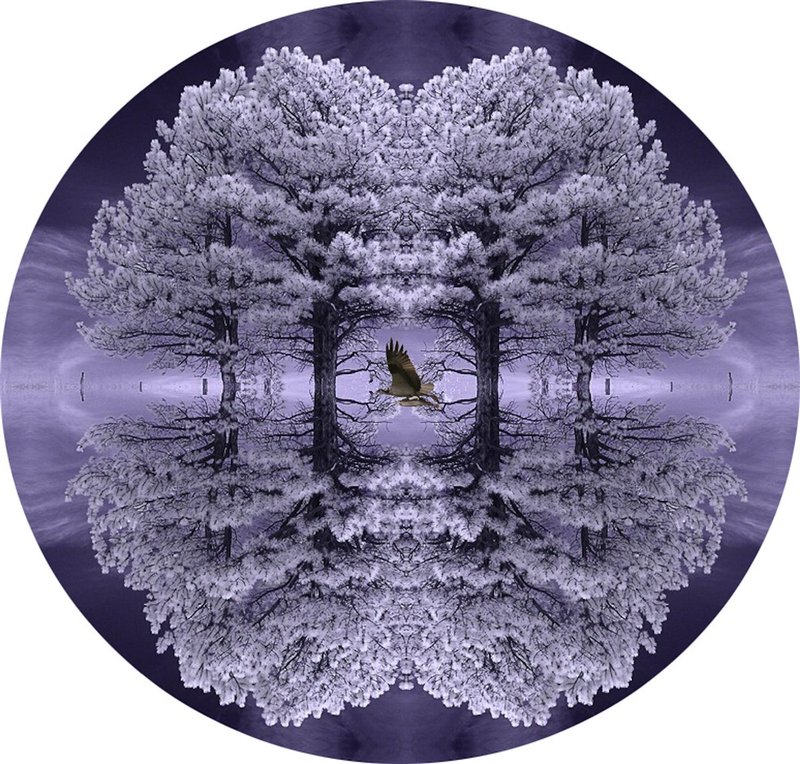 E110509-Kaleidoscope.jpg