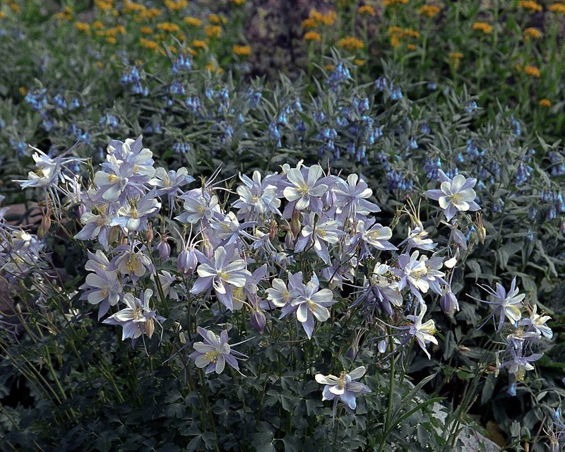 F02-14-061.jpg