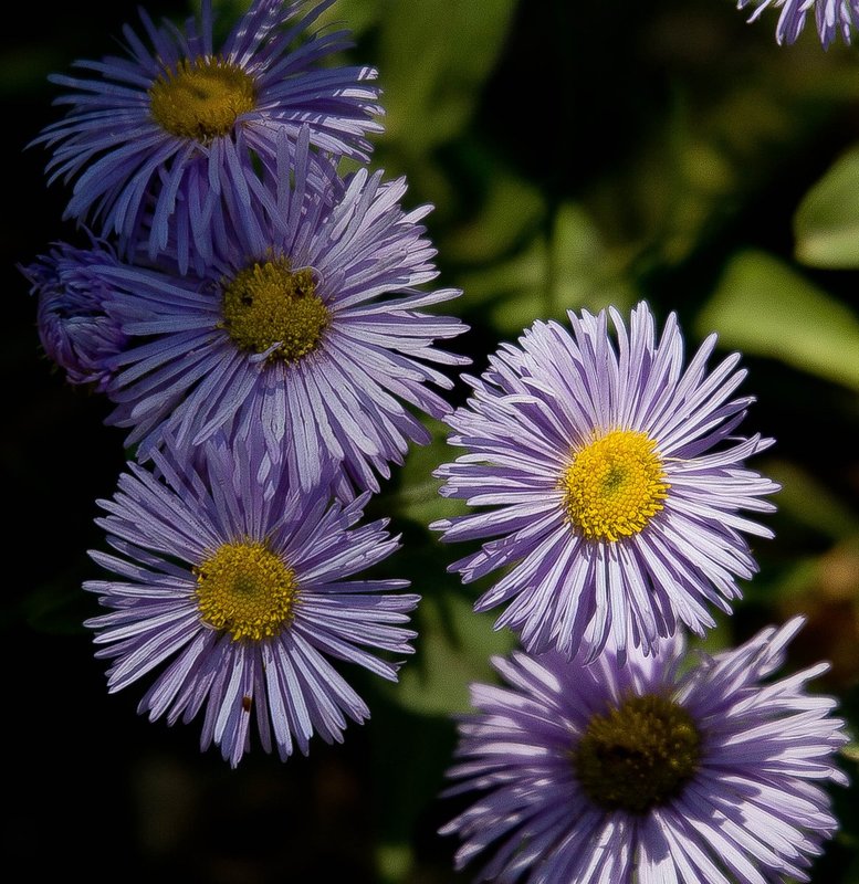 F08511.jpg