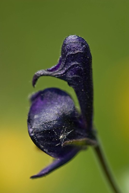 F4872E1.jpg