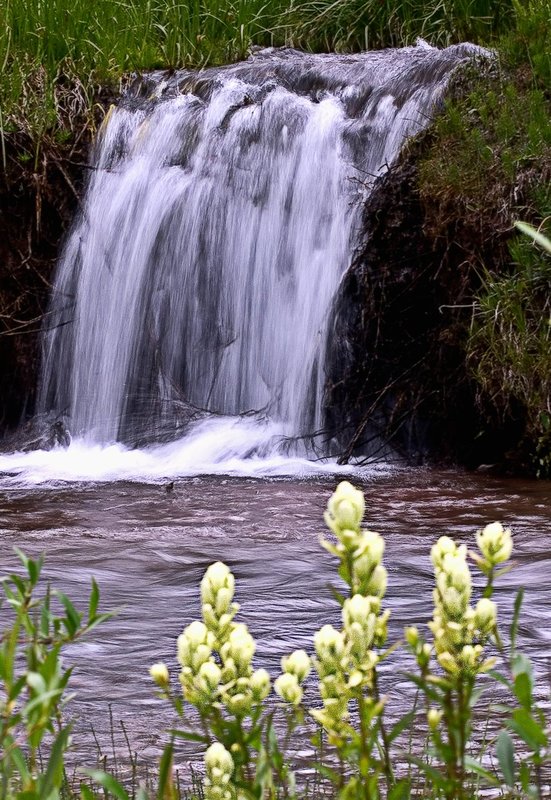 F5077-PbrushFalls1.jpg