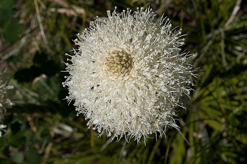 F53701.jpg