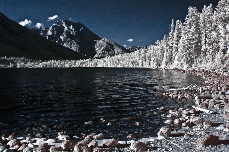 IR0044-jenny.jpg