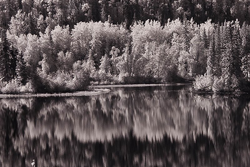 IR0121A.jpg